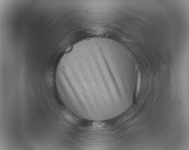 X0000069790612200606091745