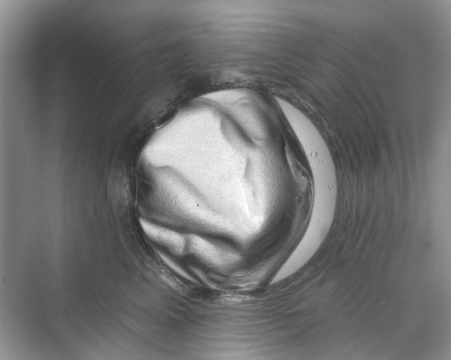 X0000069790617200606091744