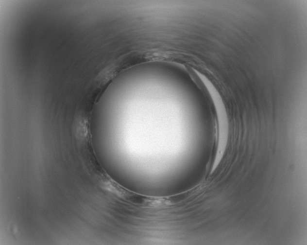 X0000069790621200606091744