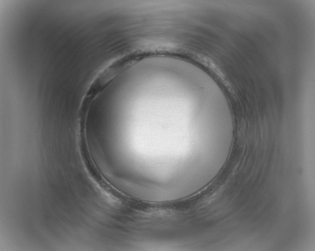 X0000069790629200606091744
