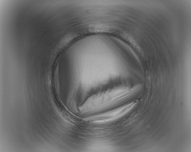 X0000069790631200606091744