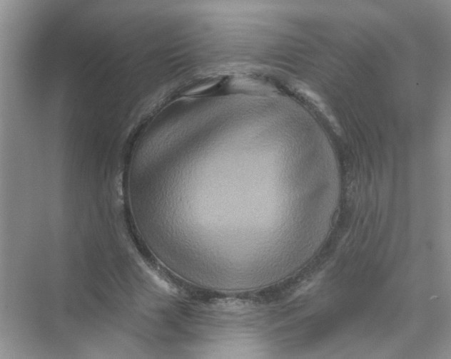 X0000069790633200606091744