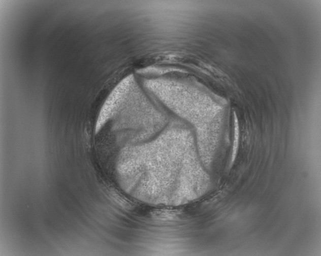 X0000069790661200606091744