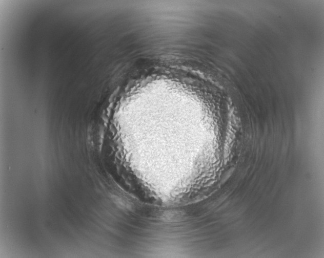 X0000069790663200606091744