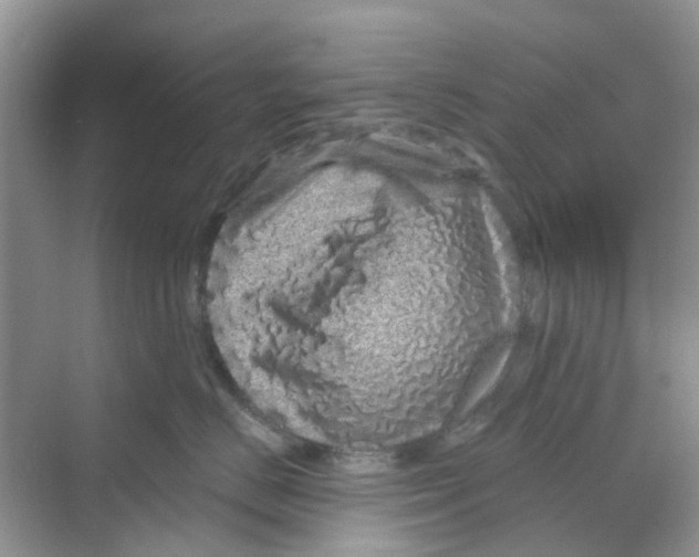 X0000069790670200606091744