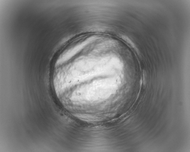 X0000069790675200606091743