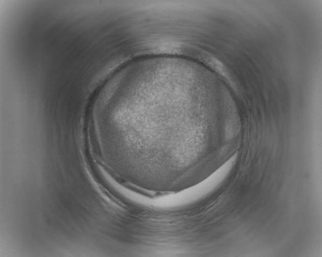 X0000069790677200606091743