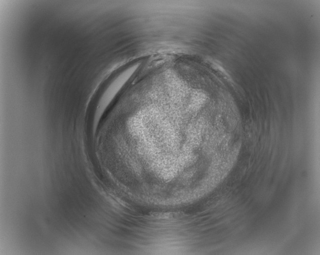 X0000069790679200606091743