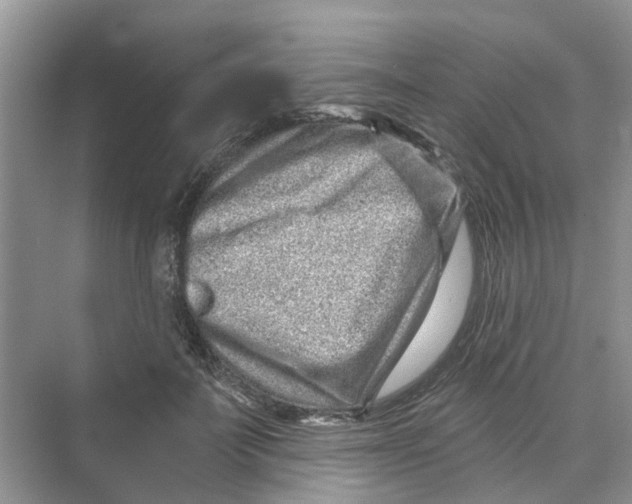 X0000069790699200606091743