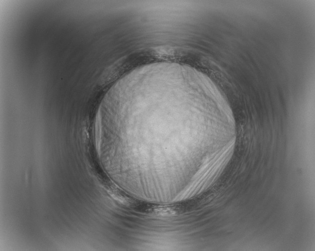 X0000069790702200606091743