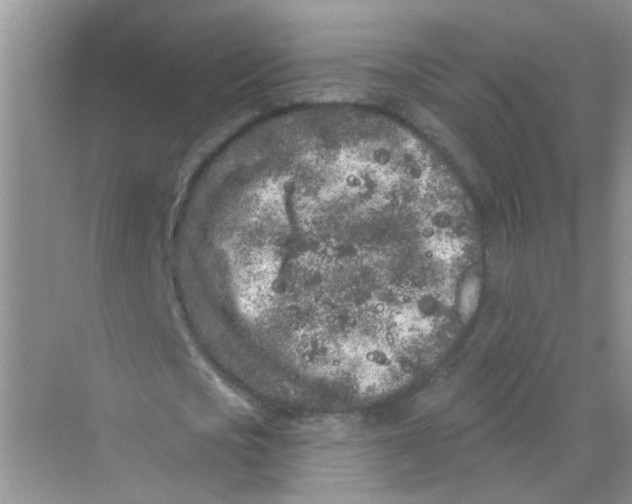 X0000069790721200606091742