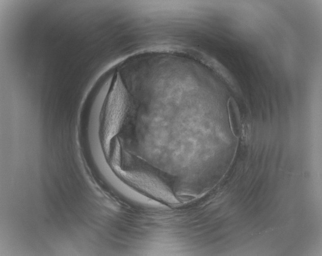 X0000069790724200606091742