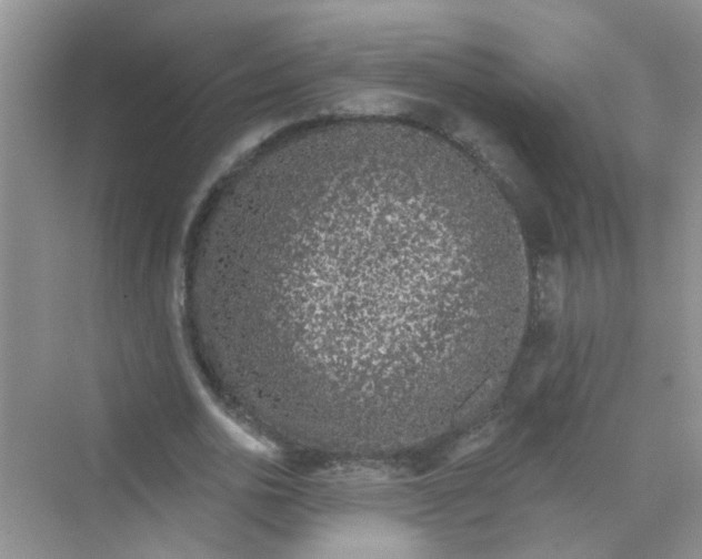 X0000069790726200606091742