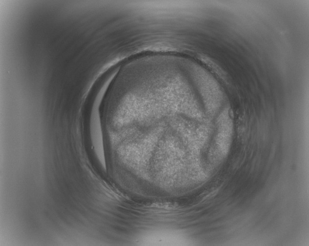 X0000069790727200606091742