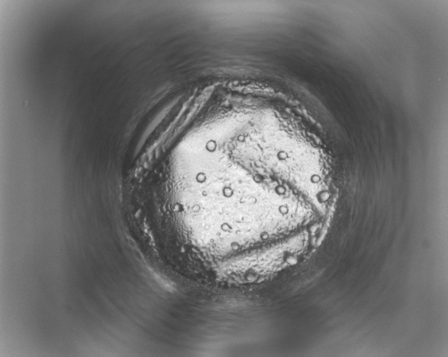 X0000069790729200606091742