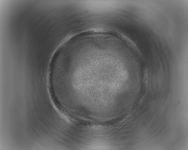 X0000069790730200606091742