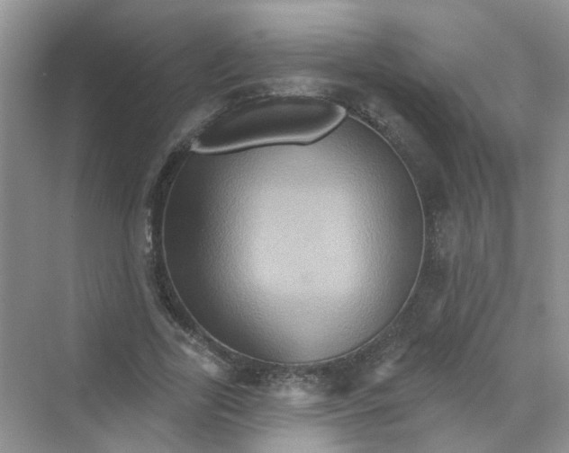 X0000069790731200606091742