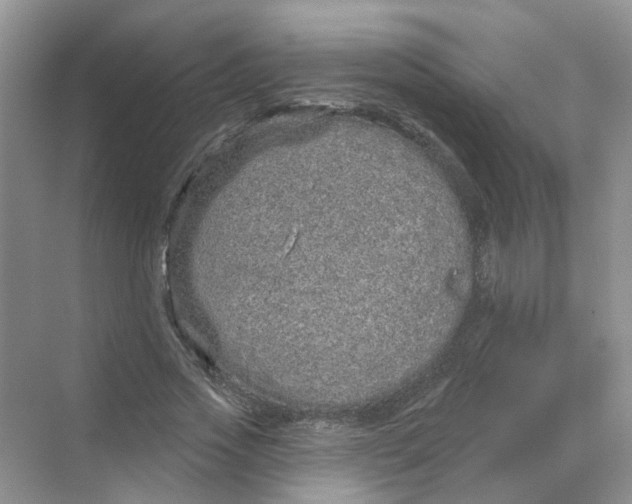 X0000069790733200606091742