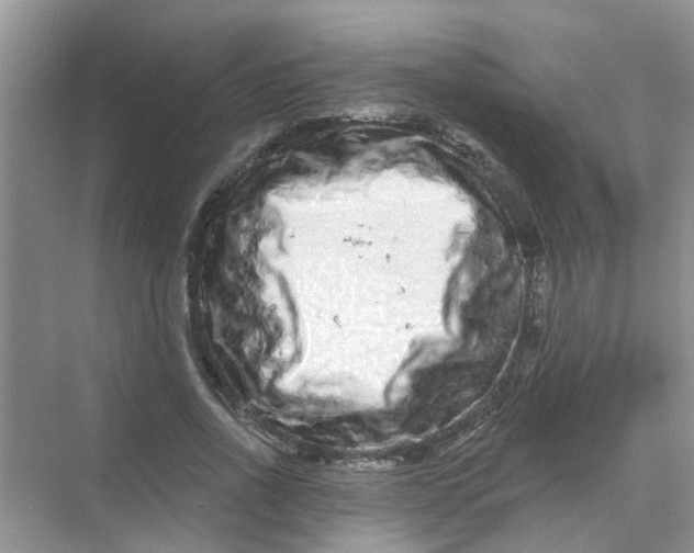 X0000069790734200606091742