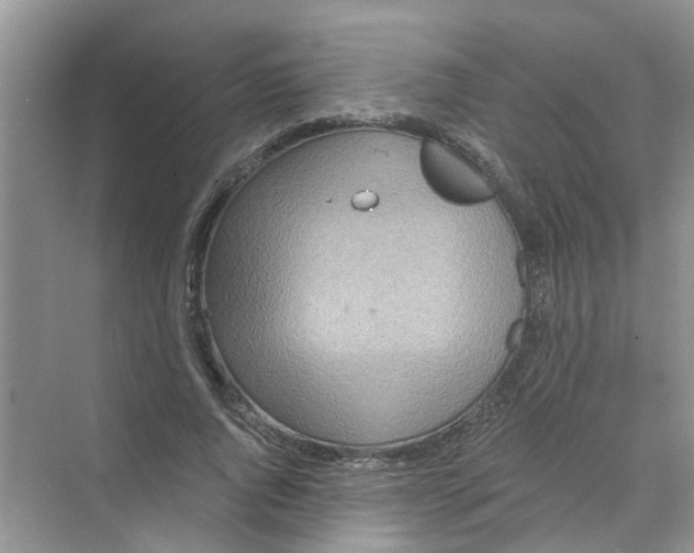 X0000069790736200606091742