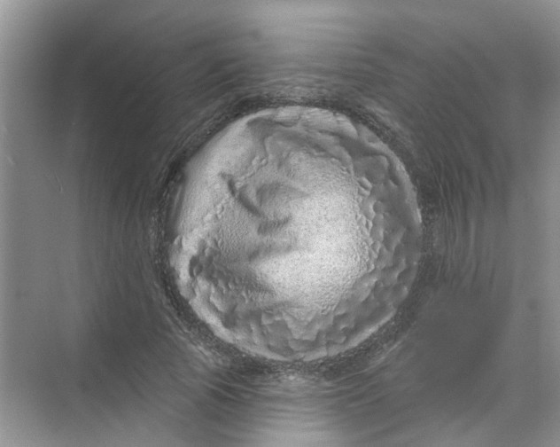 X0000069790737200606091742