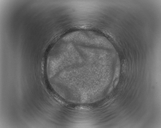 X0000069790739200606091742