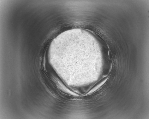 X0000069790742200606091742