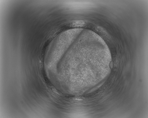 X0000069790743200606091742