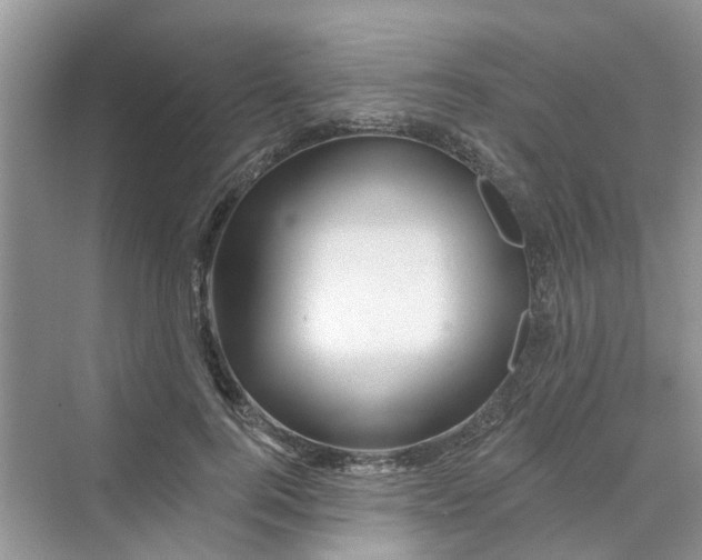 X0000069790744200606091742