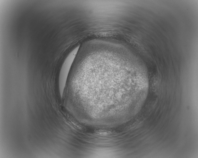 X0000069790746200606091742