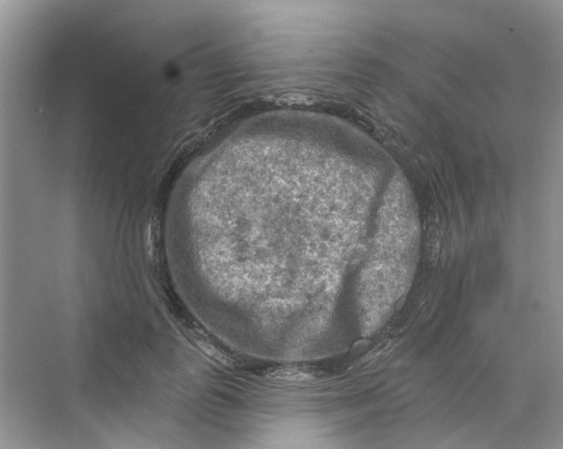 X0000069790747200606091742