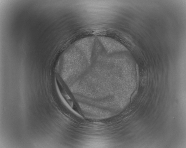 X0000069790748200606091742