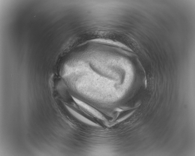 X0000069790750200606091742