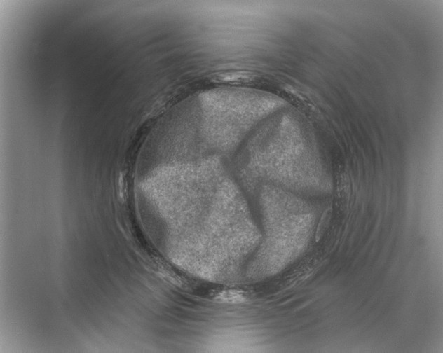 X0000069790751200606091742