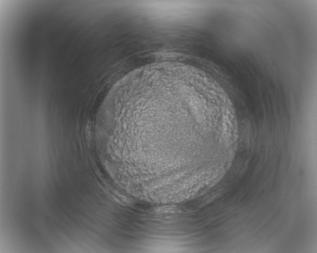 X0000069790761200606091743