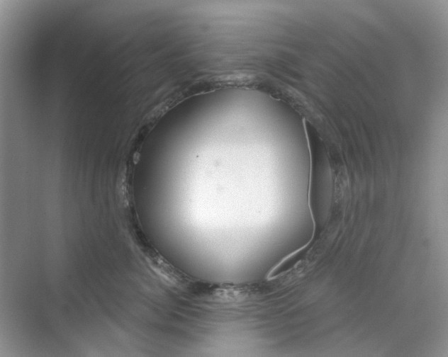 X0000069790764200606091743