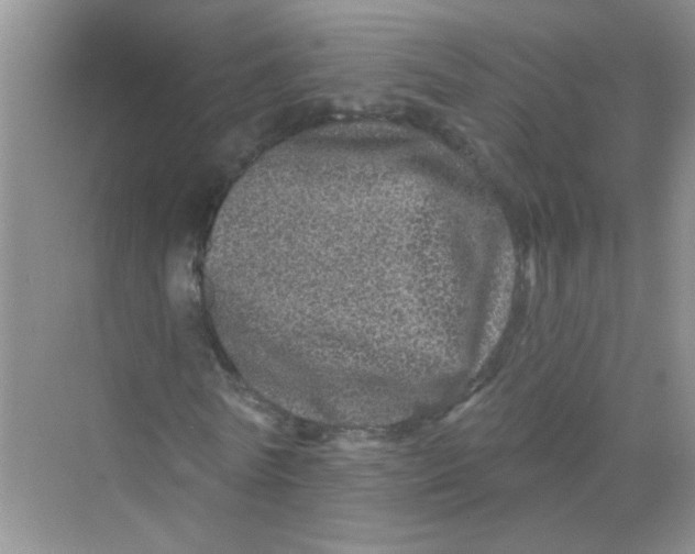 X0000069790770200606091742