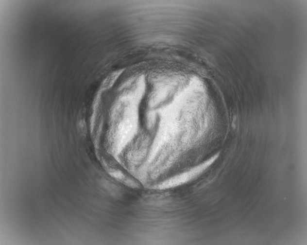 X0000069790771200606091742