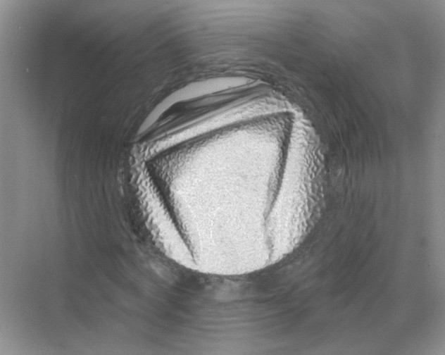 X0000069790772200606091742