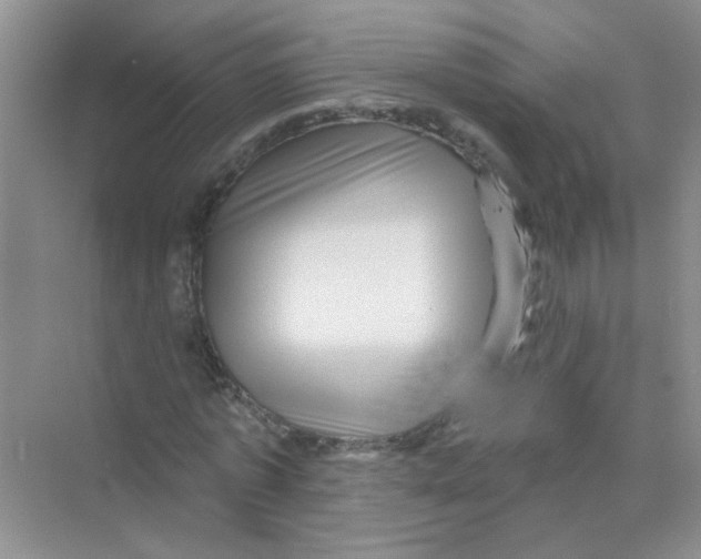 X0000069790773200606091742