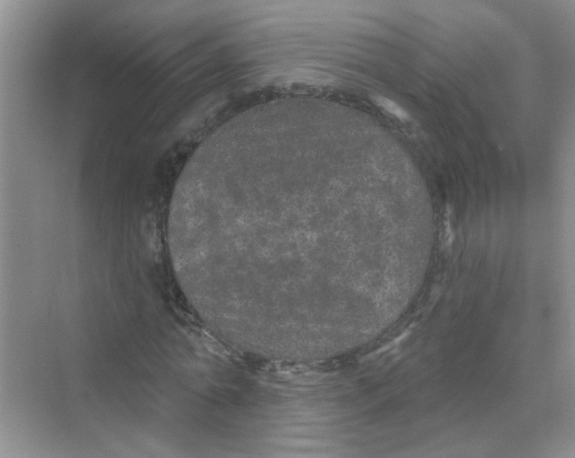 X0000069790774200606091742