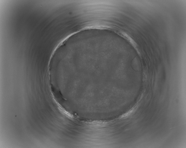 X0000069790779200606091742