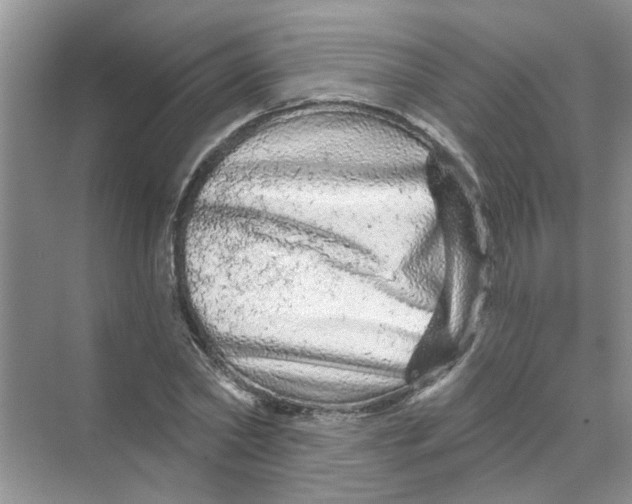 X0000069790782200606091742