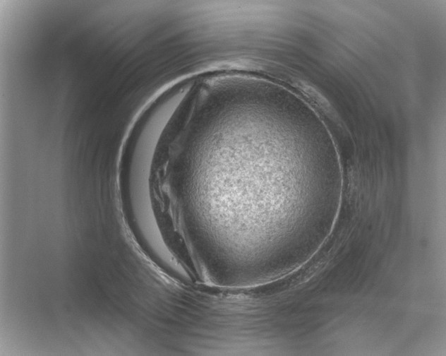 X0000069790784200606091742