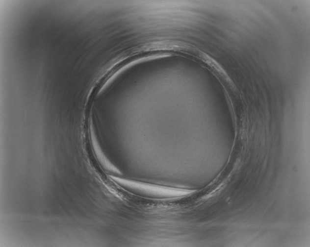 X0000069790786200606091742