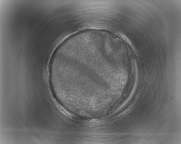 X0000069790787200606091742