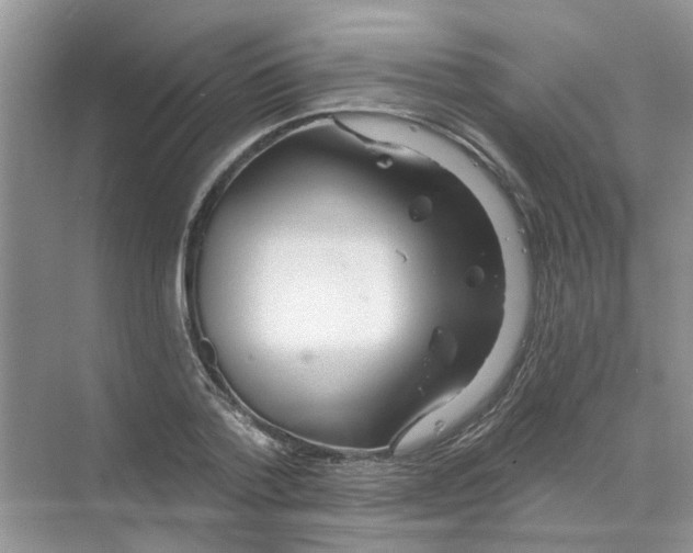 X0000069790788200606091742