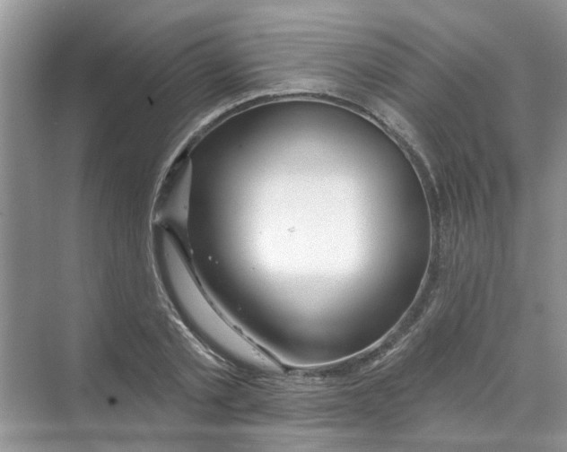 X0000069790789200606091742