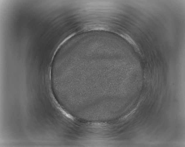 X0000069790790200606091742