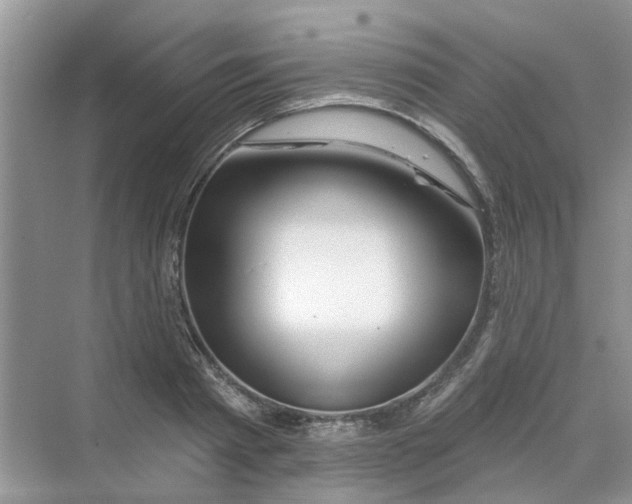 X0000069790793200606091742